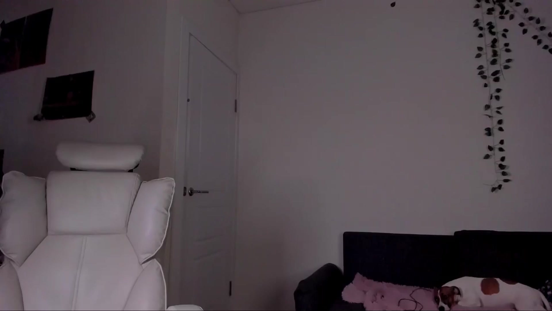 Gallery image thumbnail from MikaMaez's myfreecams stream on, 11/25/2024, 23:28 image 8 of 20