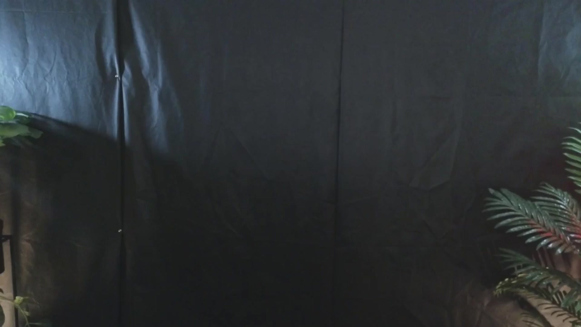Gallery image thumbnail from MilaJoulie's myfreecams stream on, 12/01/2024, 24:15 image 4 of 20