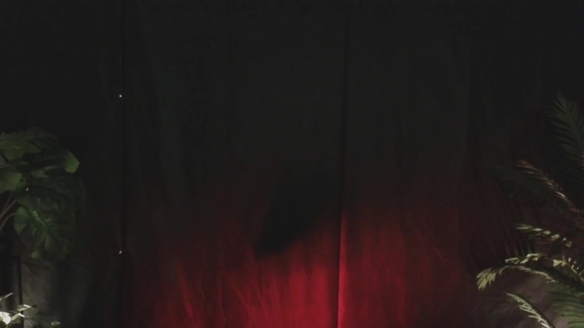 Gallery image thumbnail from MilaJoulie's myfreecams stream on, 12/05/2024, 19:54 image 13 of 20