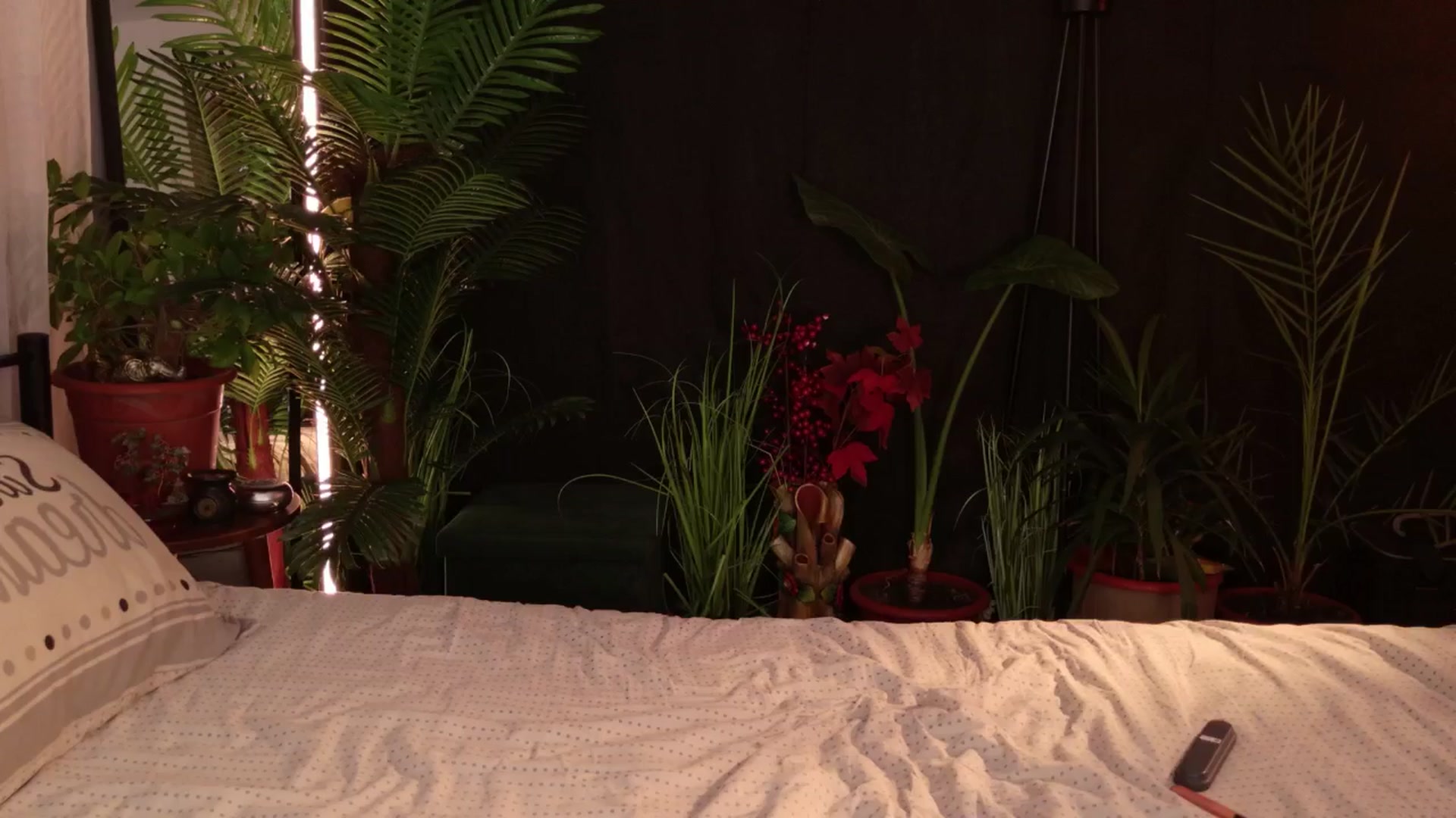 Gallery image thumbnail from MilaJoulie's myfreecams stream on, 04/26/2025, 21:01 image 3 of 20
