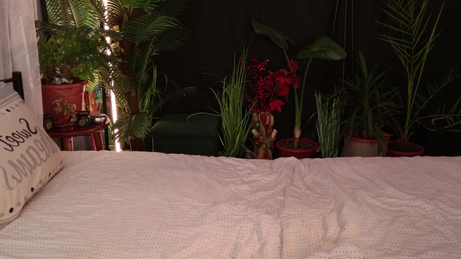 Gallery image thumbnail from MilaJoulie's myfreecams stream on, 04/30/2025, 15:20 image 19 of 20