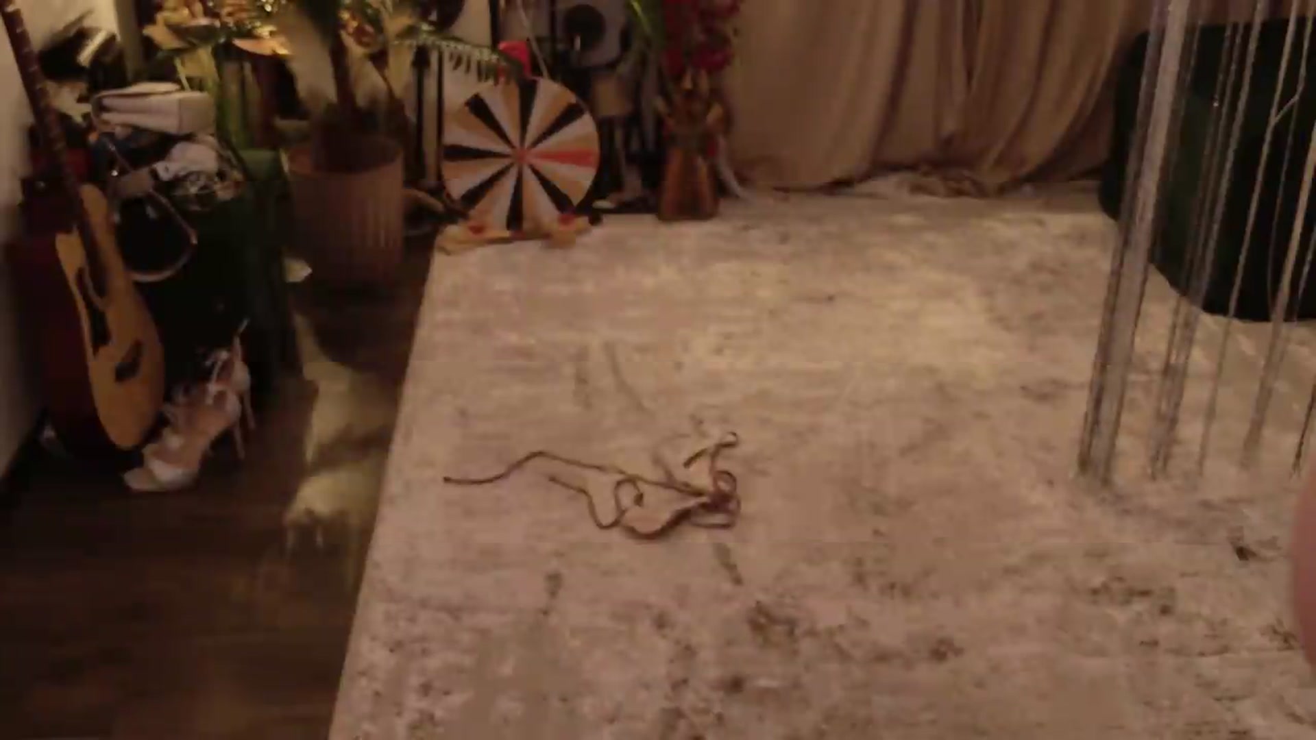 Gallery image thumbnail from MilaJoulie's myfreecams stream on, 06/05/2026, 20:22 image 19 of 20