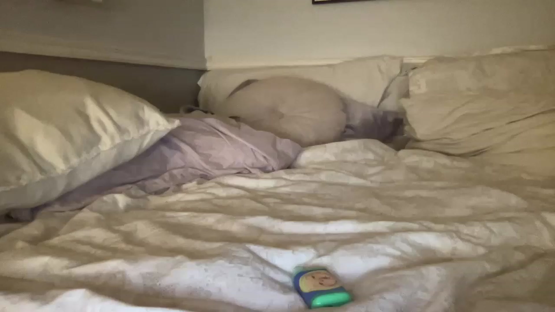 Gallery image thumbnail from MileyxSmiles's myfreecams stream on, 04/16/2023, 10:48 image 7 of 20