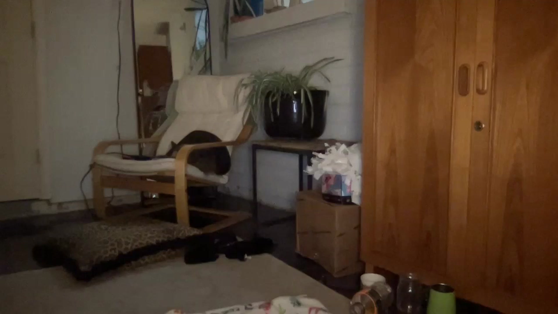 Gallery image thumbnail from MileyxSmiles's myfreecams stream on, 06/02/2023, 10:40 image 9 of 20