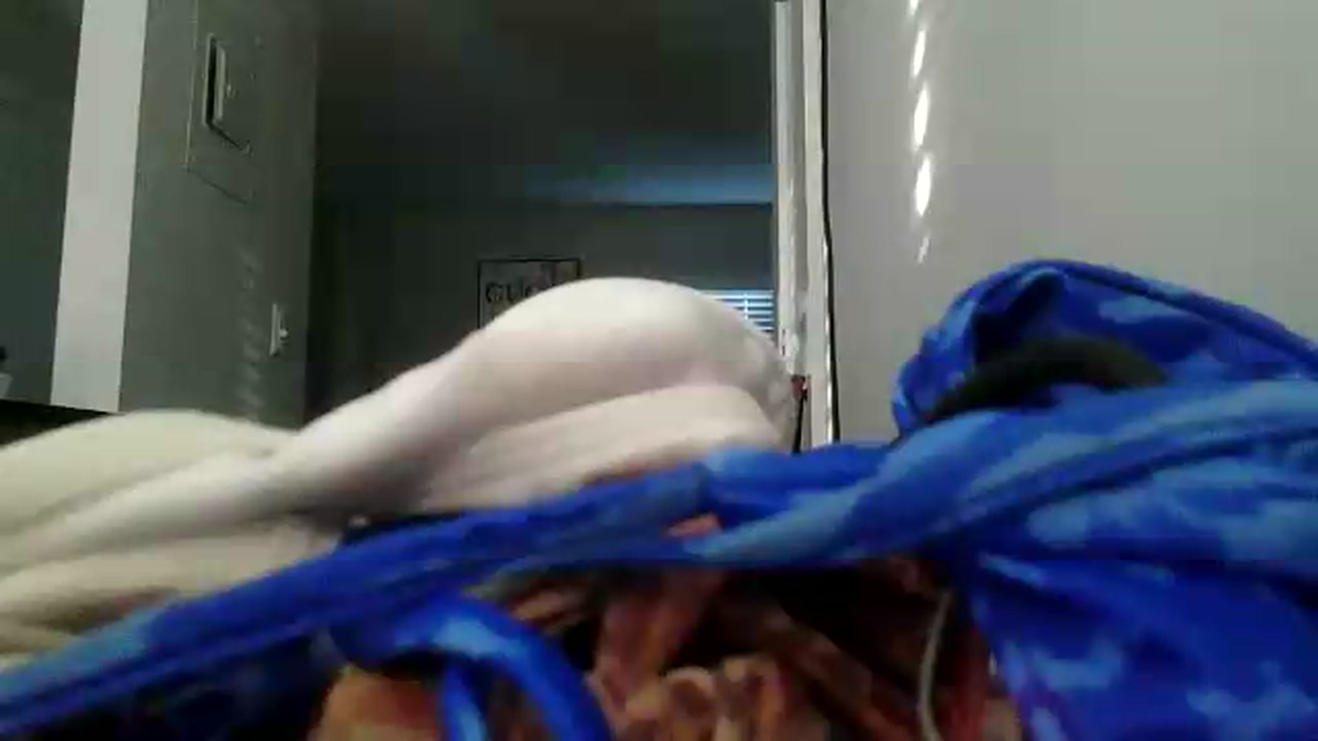 Gallery image thumbnail from MilfNCookies1's myfreecams stream on, 06/22/2026, 23:41 image 18 of 20