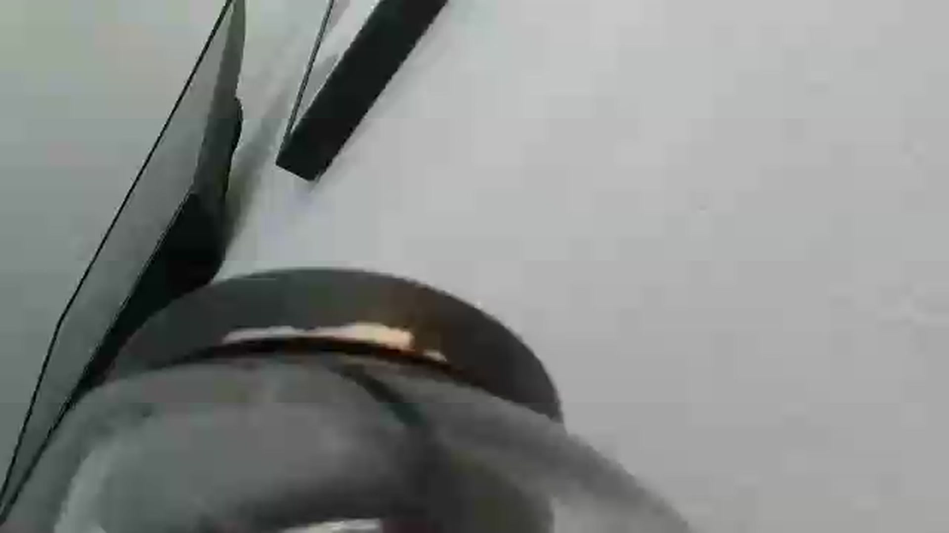 Gallery image thumbnail from MilfNCookies1's myfreecams stream on, 06/26/2026, 17:25 image 1 of 20