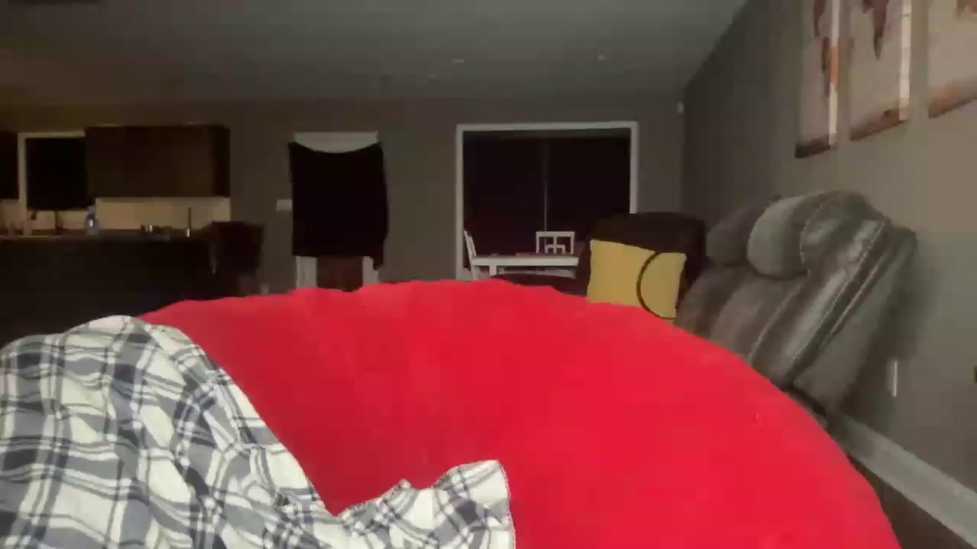 Gallery image thumbnail from MilfParadise's myfreecams stream on, 05/08/2023, 05:54 image 13 of 20