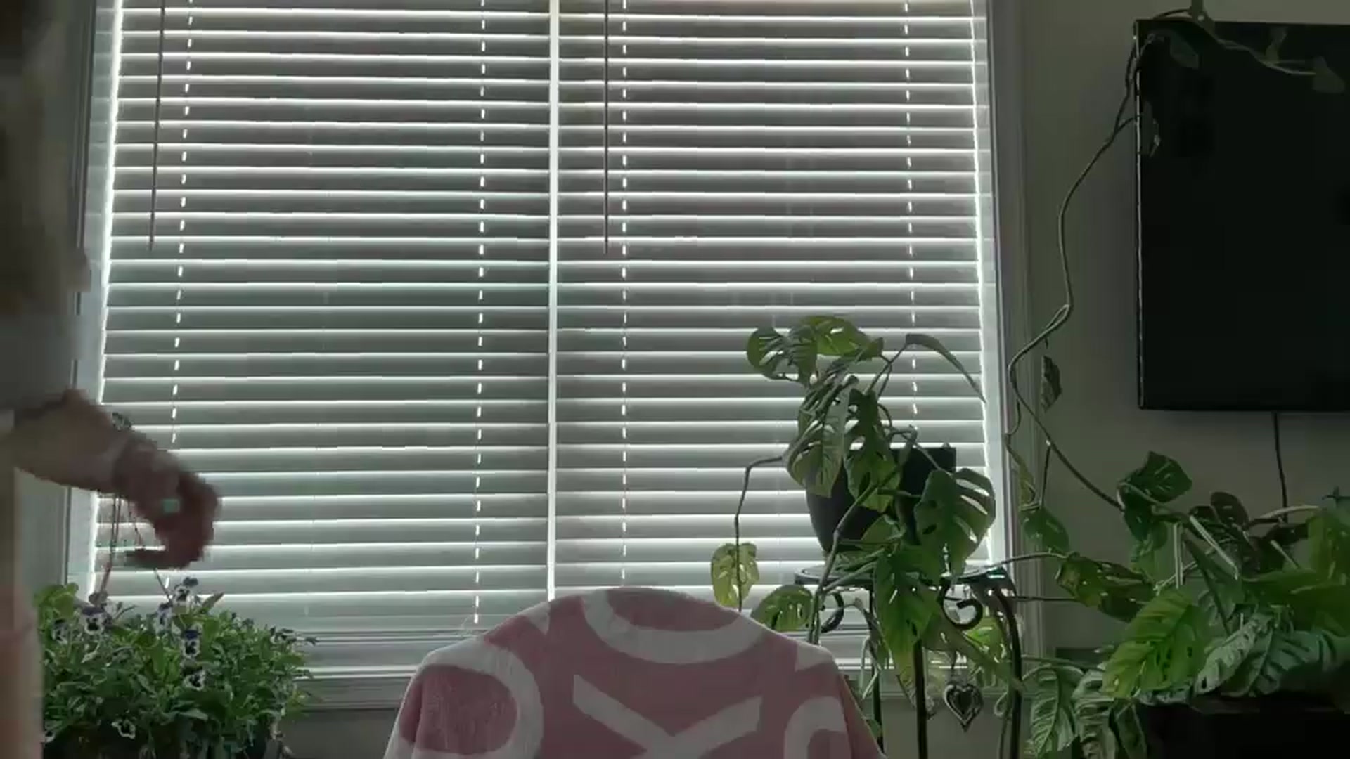 Gallery image thumbnail from Milf_Goddess's myfreecams stream on, 04/12/2026, 12:46 image 17 of 20