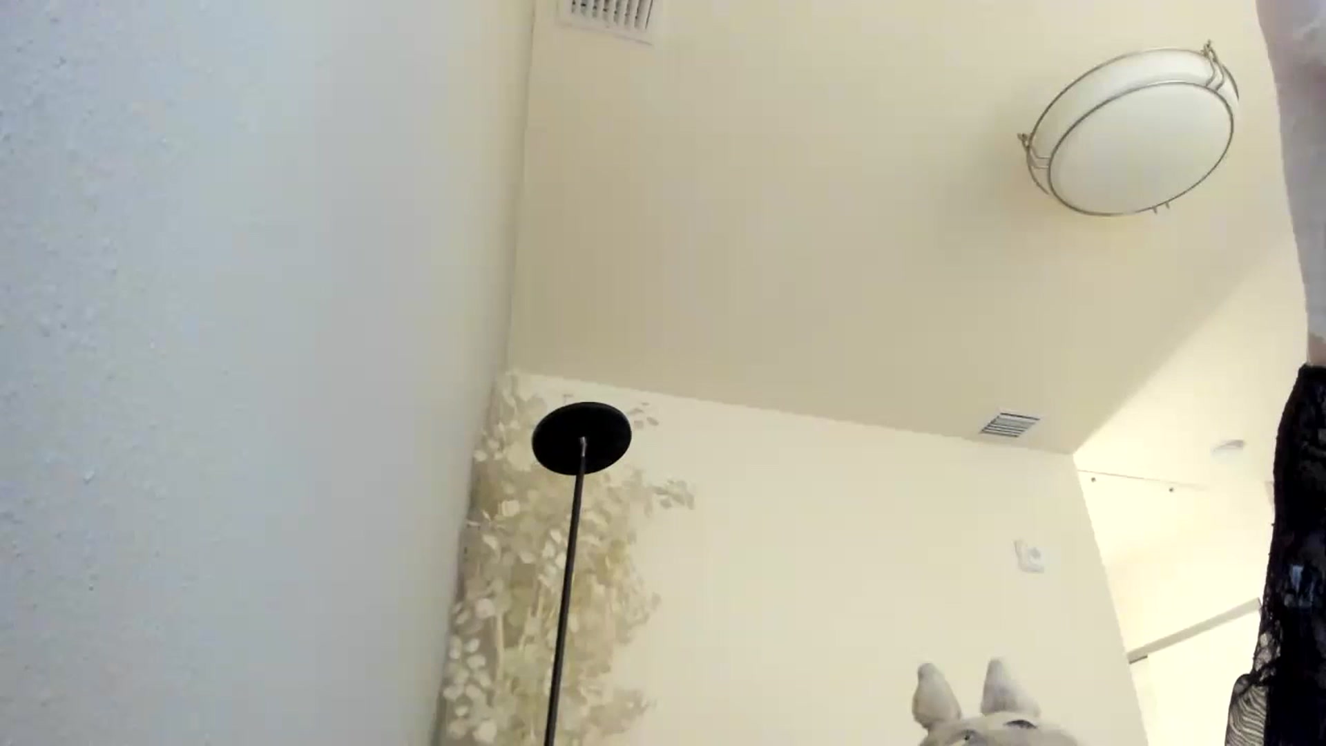 Gallery image thumbnail from Milk_Cuck's myfreecams stream on, 07/02/2023, 05:26 image 2 of 20