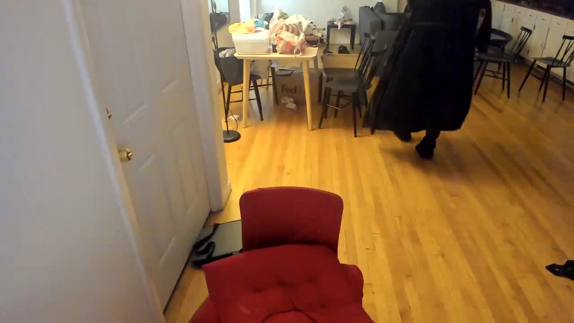 Gallery image thumbnail from Milk_Party's myfreecams stream on, 12/13/2023, 03:23 image 3 of 20