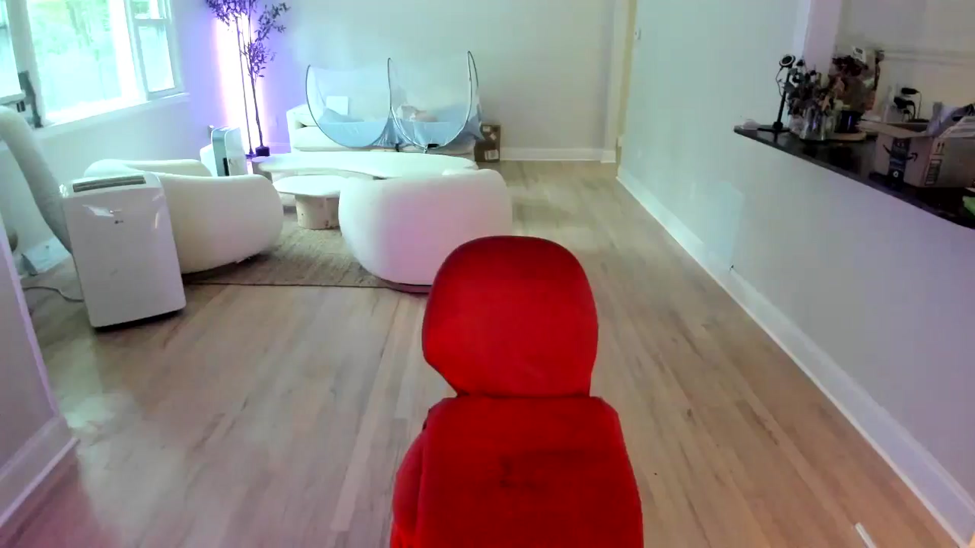 Gallery image thumbnail from Milk_Party's myfreecams stream on, 07/07/2025, 23:05 image 16 of 20