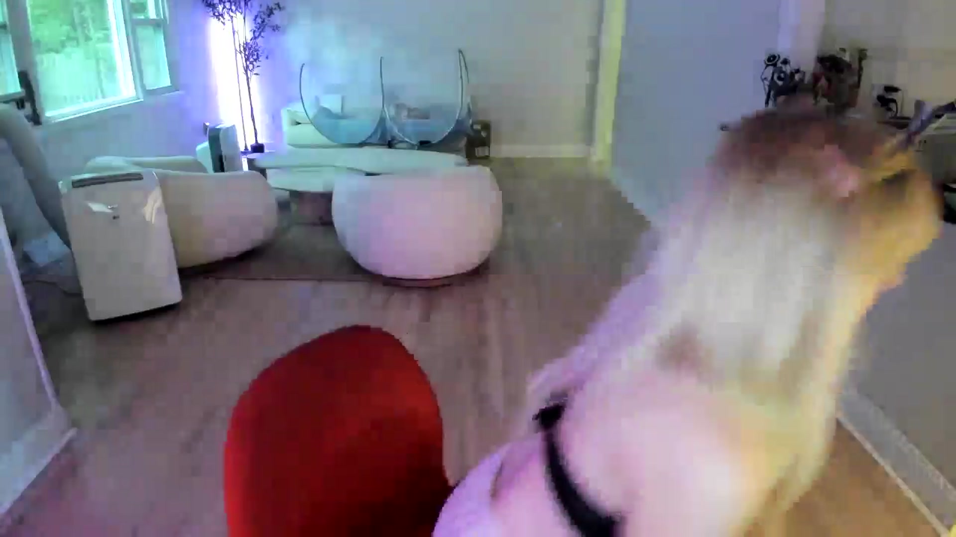 Gallery image thumbnail from Milk_Party's myfreecams stream on, 07/07/2025, 23:05 image 10 of 20
