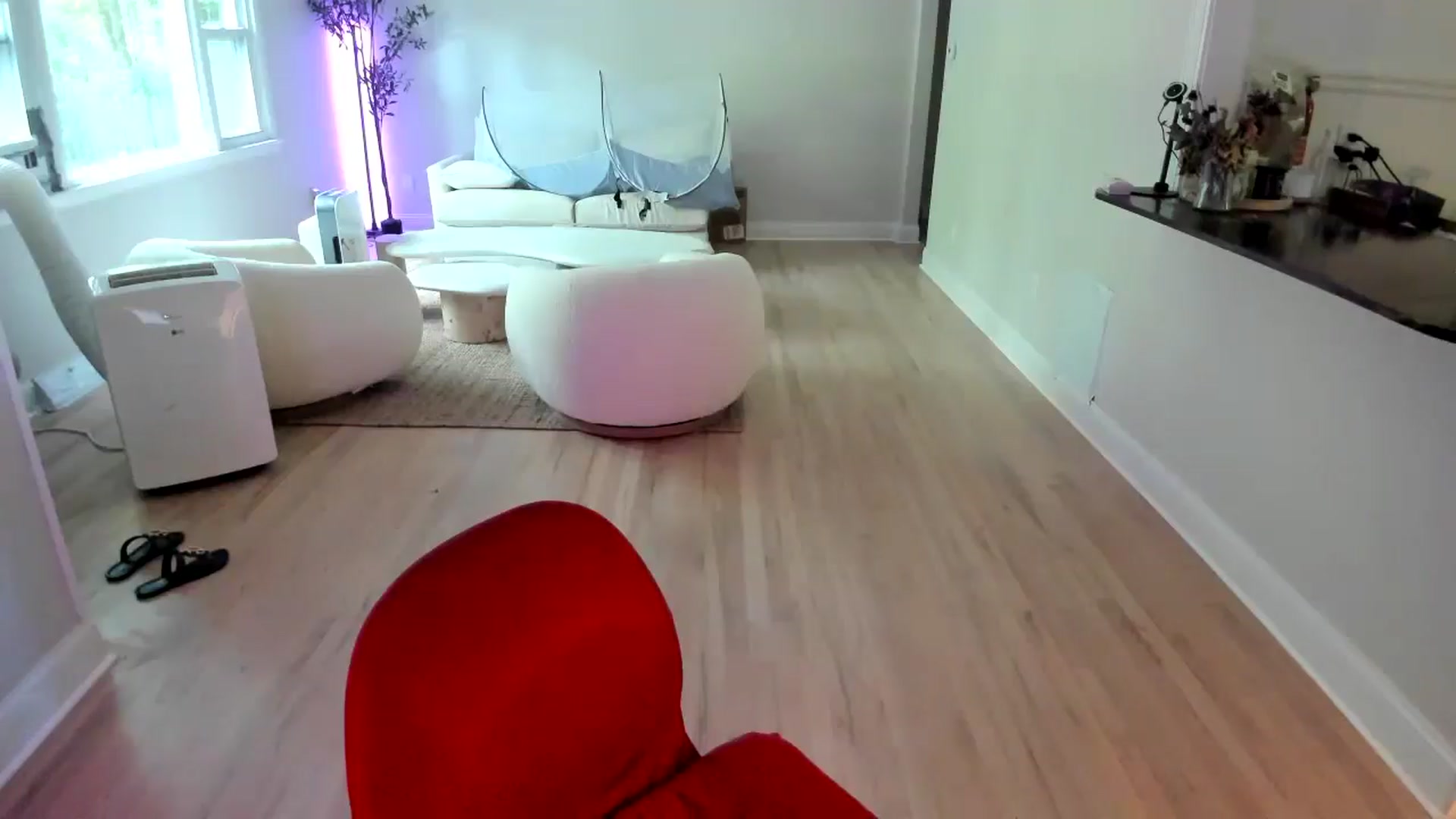 Gallery image thumbnail from Milk_Party's myfreecams stream on, 07/12/2025, 21:23 image 2 of 20