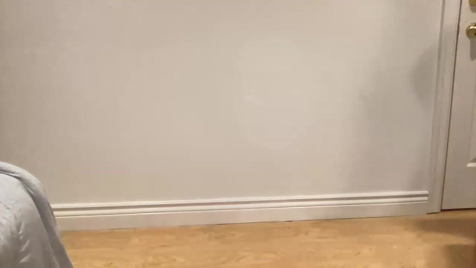 Gallery image thumbnail from Milknuts's myfreecams stream on, 02/11/2023, 15:11 image 1 of 20