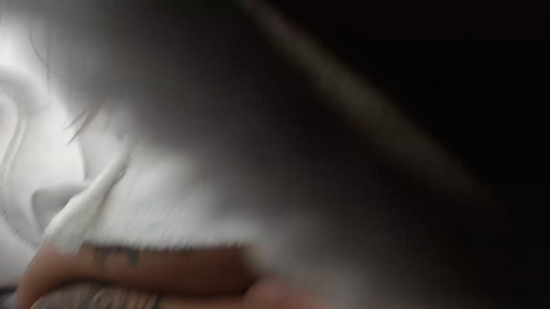 Gallery image thumbnail from Milkshake91's myfreecams stream on, 11/14/2022, 12:10 image 15 of 20
