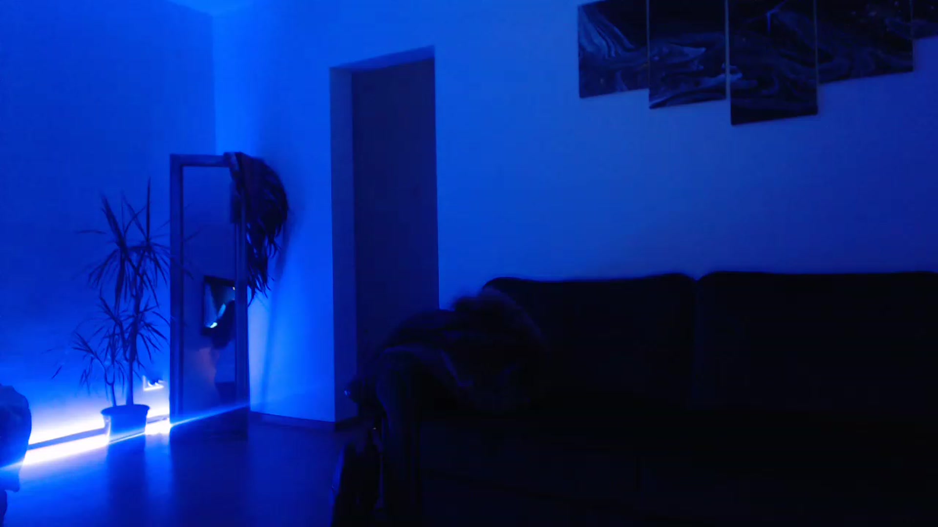 Gallery image thumbnail from Milkshake91's myfreecams stream on, 12/03/2022, 16:56 image 9 of 20