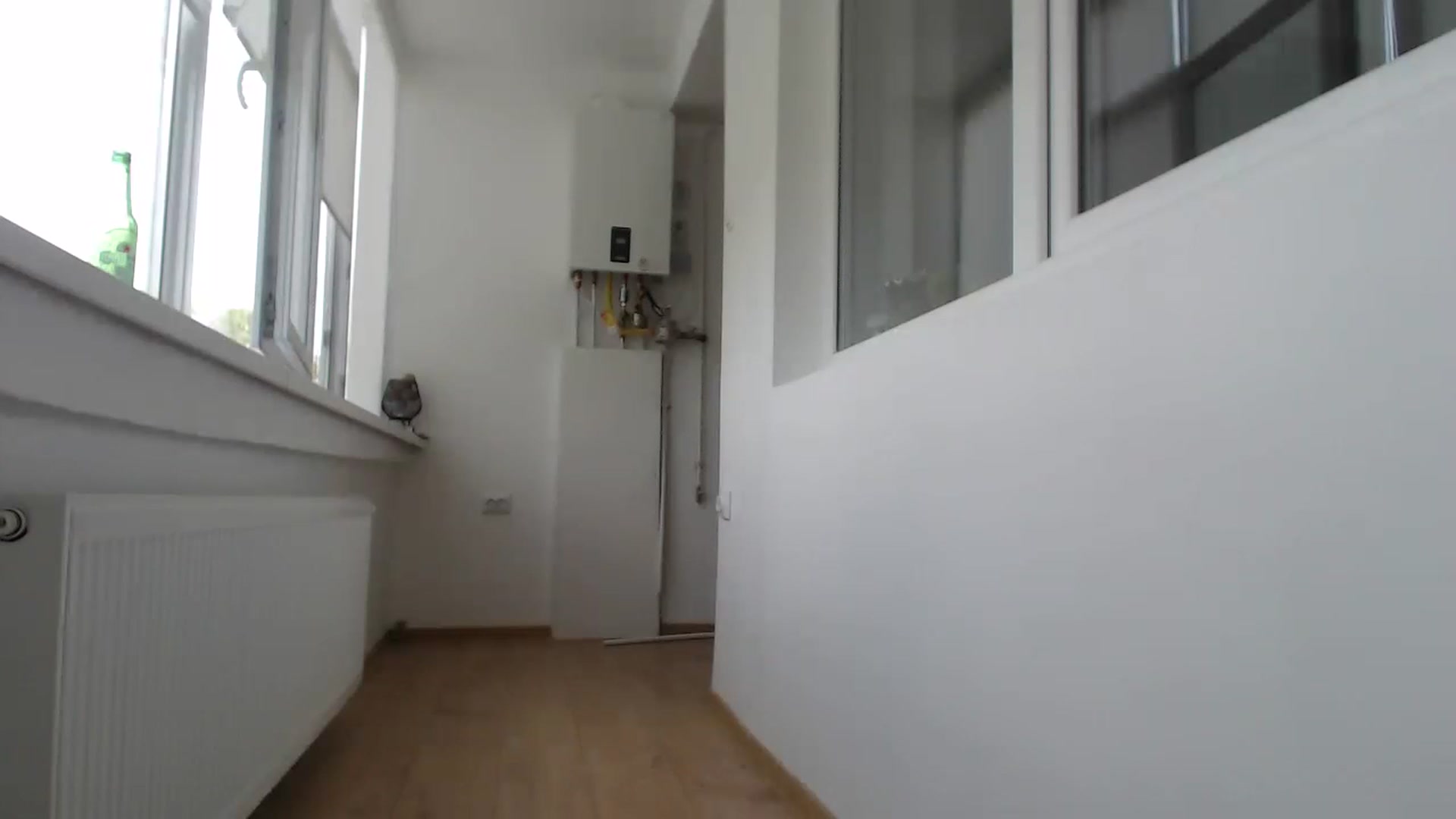 Gallery image thumbnail from Milkshake91's myfreecams stream on, 05/14/2023, 12:23 image 19 of 20