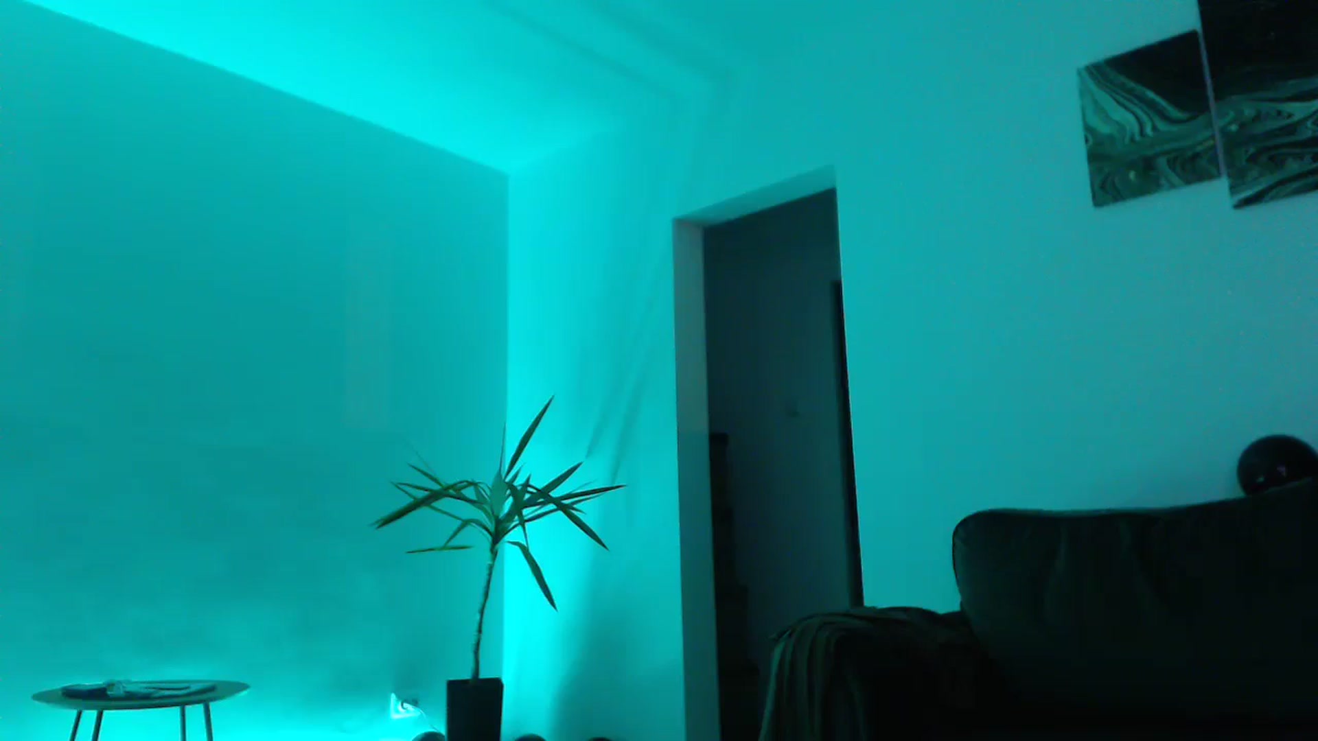 Gallery image thumbnail from Milkshake91's myfreecams stream on, 01/01/2024, 16:50 image 14 of 20
