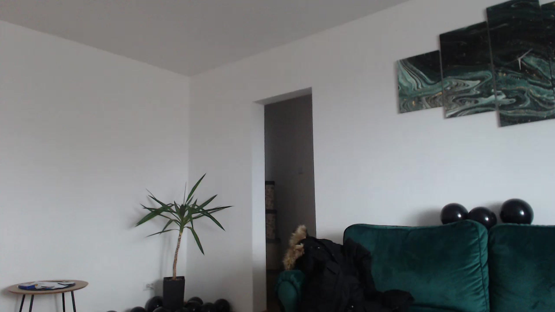 Gallery image thumbnail from Milkshake91's myfreecams stream on, 01/03/2024, 12:37 image 1 of 20