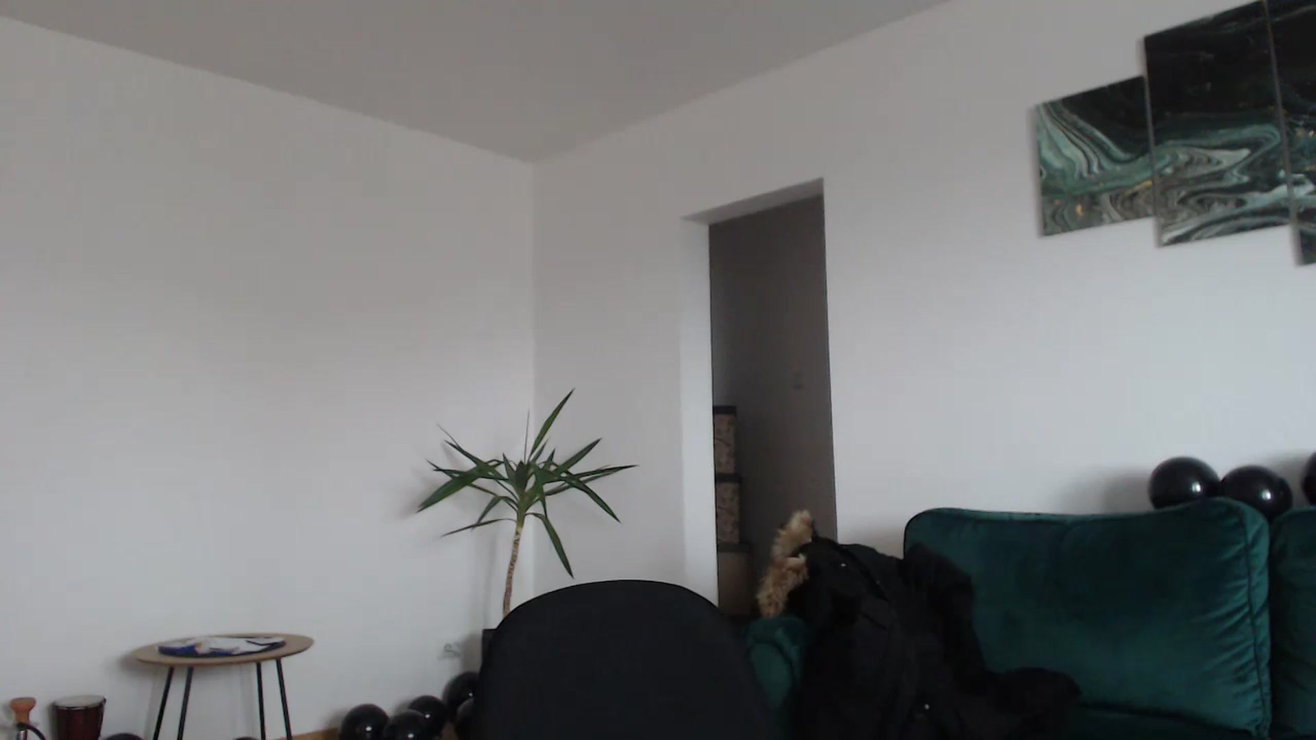 Gallery image thumbnail from Milkshake91's myfreecams stream on, 01/03/2024, 12:37 image 18 of 20