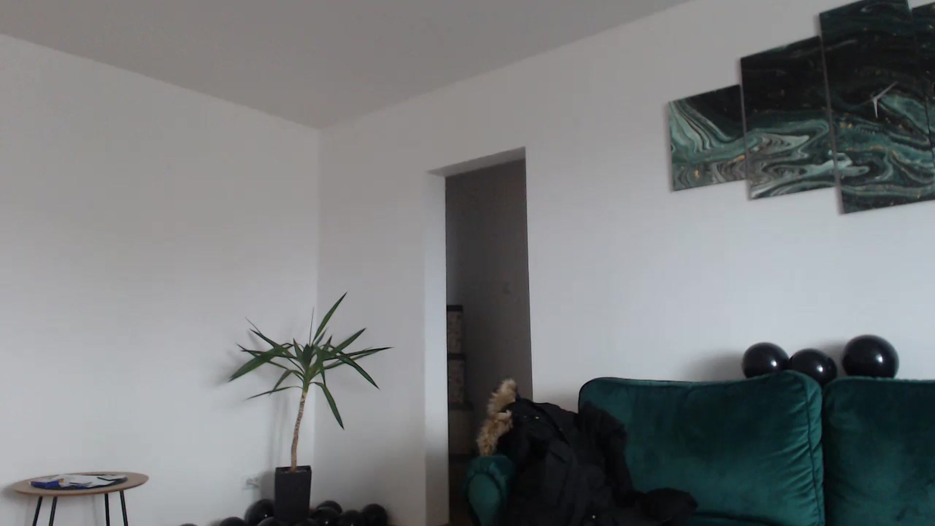 Gallery image thumbnail from Milkshake91's myfreecams stream on, 01/03/2024, 12:37 image 2 of 20