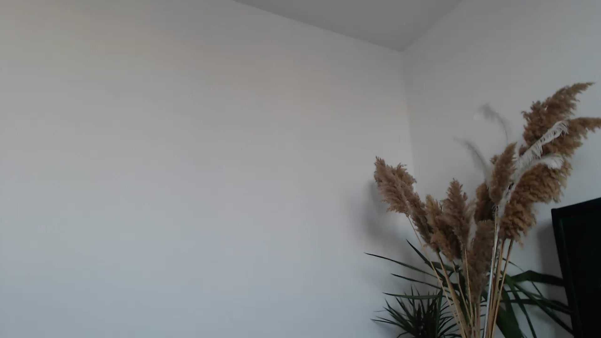 Gallery image thumbnail from Milkshake91's myfreecams stream on, 02/07/2024, 15:07 image 7 of 20