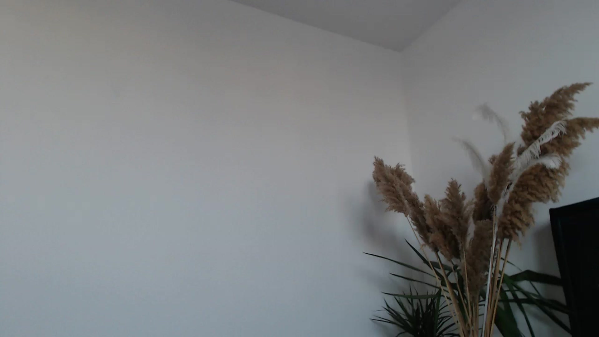 Gallery image thumbnail from Milkshake91's myfreecams stream on, 02/07/2024, 15:07 image 9 of 20