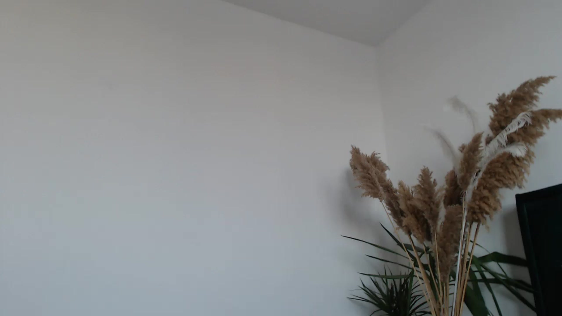 Gallery image thumbnail from Milkshake91's myfreecams stream on, 02/07/2024, 15:07 image 5 of 20
