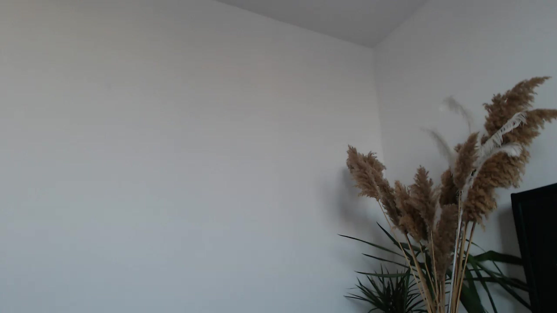 Gallery image thumbnail from Milkshake91's myfreecams stream on, 02/07/2024, 15:07 image 8 of 20
