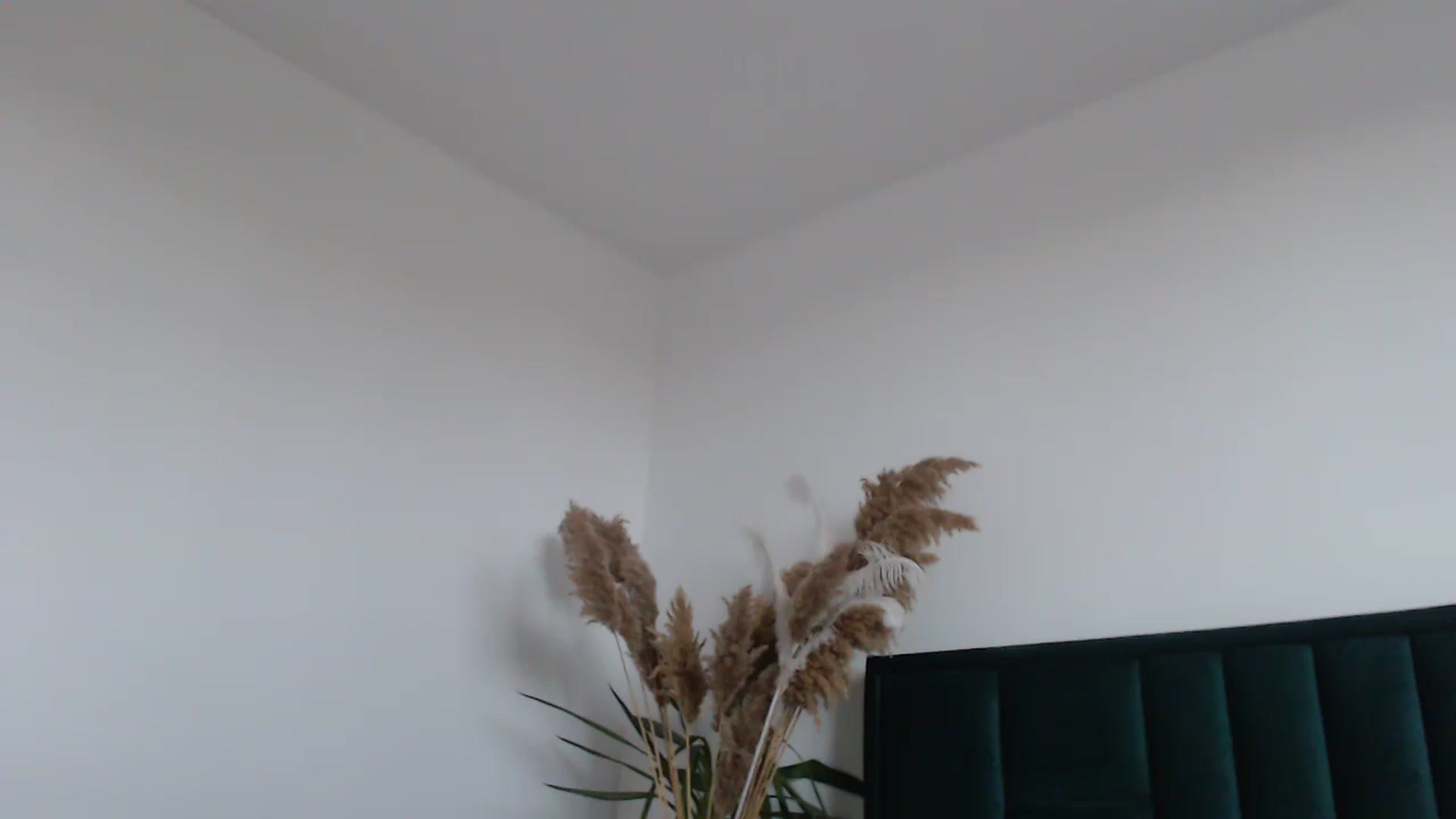 Gallery image thumbnail from Milkshake91's myfreecams stream on, 02/12/2024, 15:22 image 13 of 20