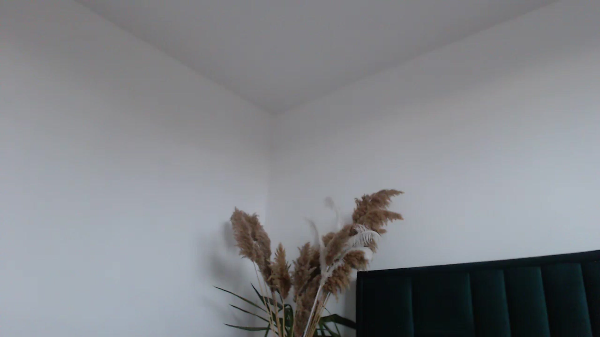 Gallery image thumbnail from Milkshake91's myfreecams stream on, 02/12/2024, 15:22 image 14 of 20