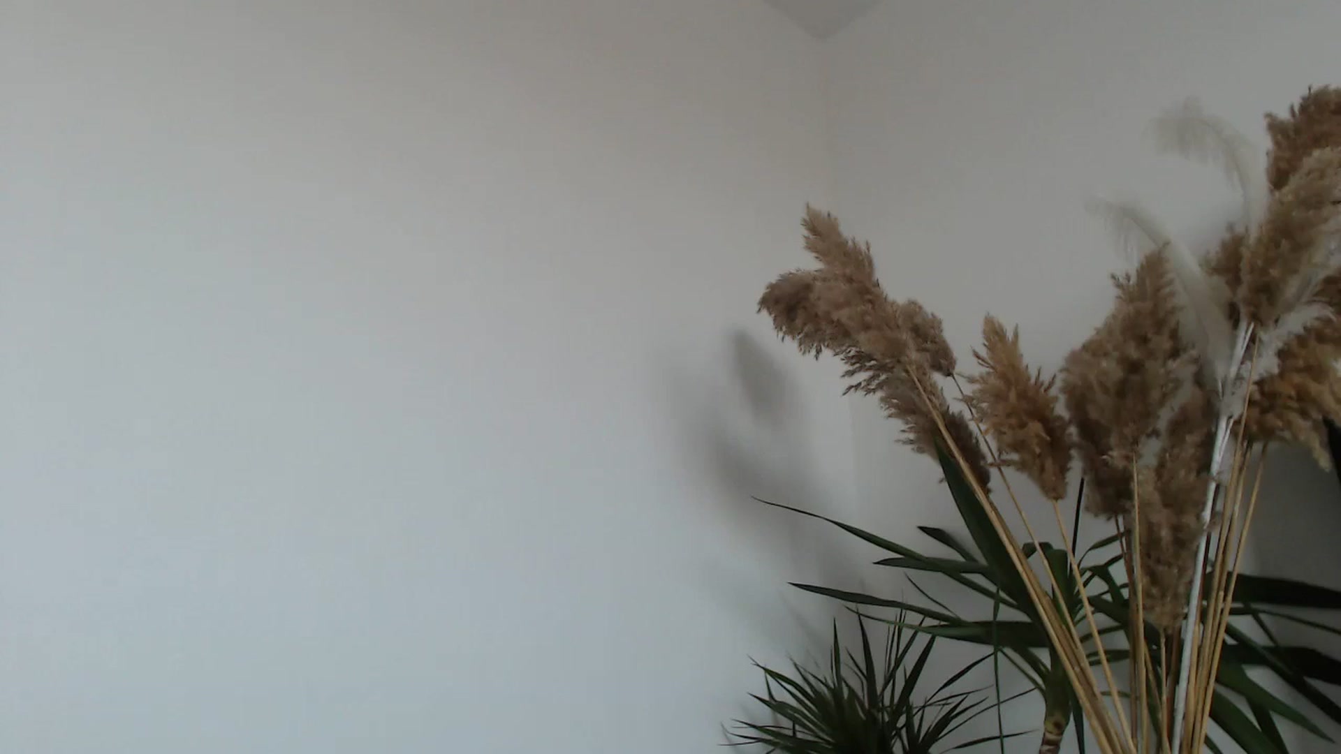 Gallery image thumbnail from Milkshake91's myfreecams stream on, 02/22/2024, 15:02 image 1 of 20