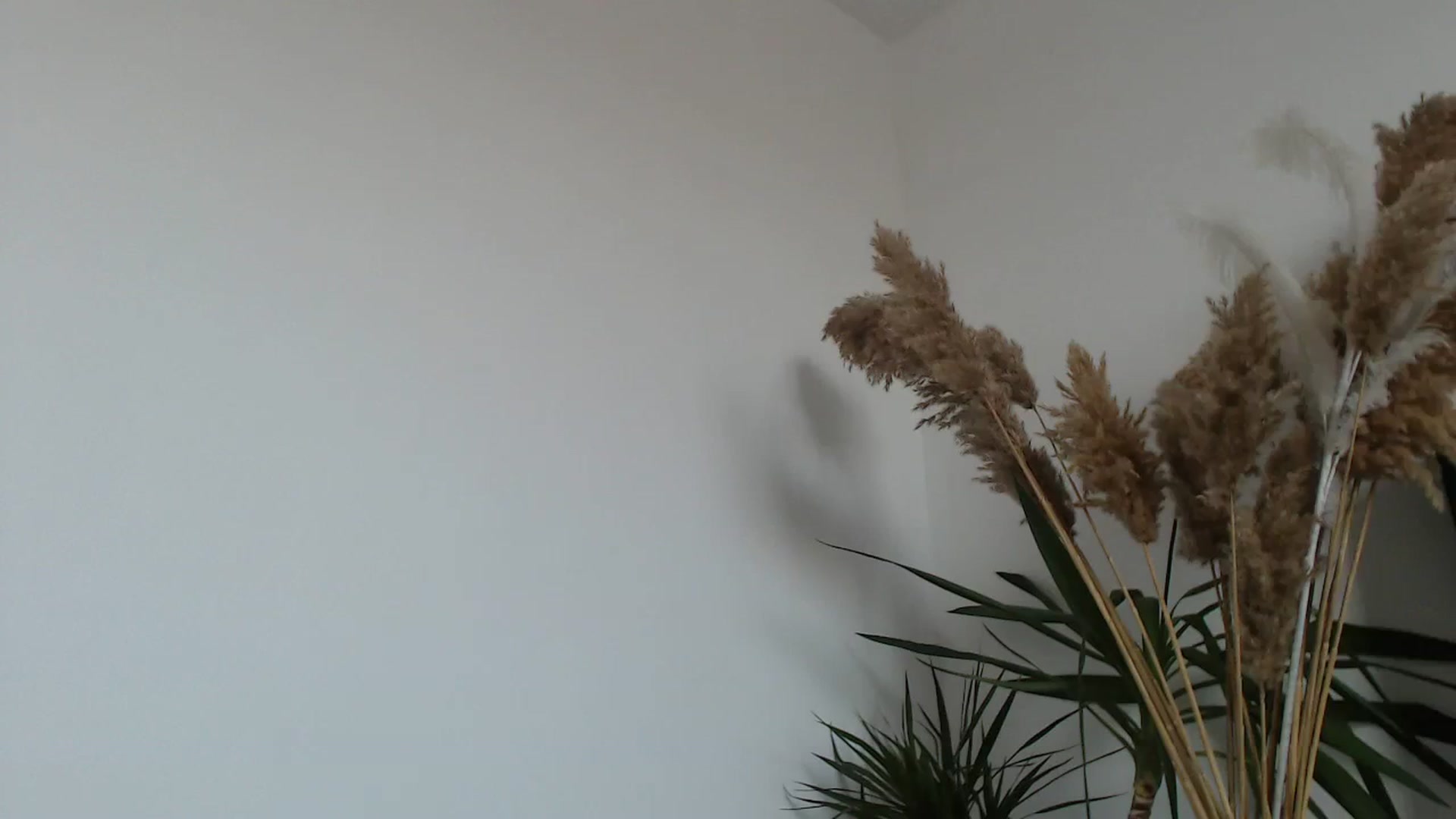 Gallery image thumbnail from Milkshake91's myfreecams stream on, 02/22/2024, 15:02 image 2 of 20