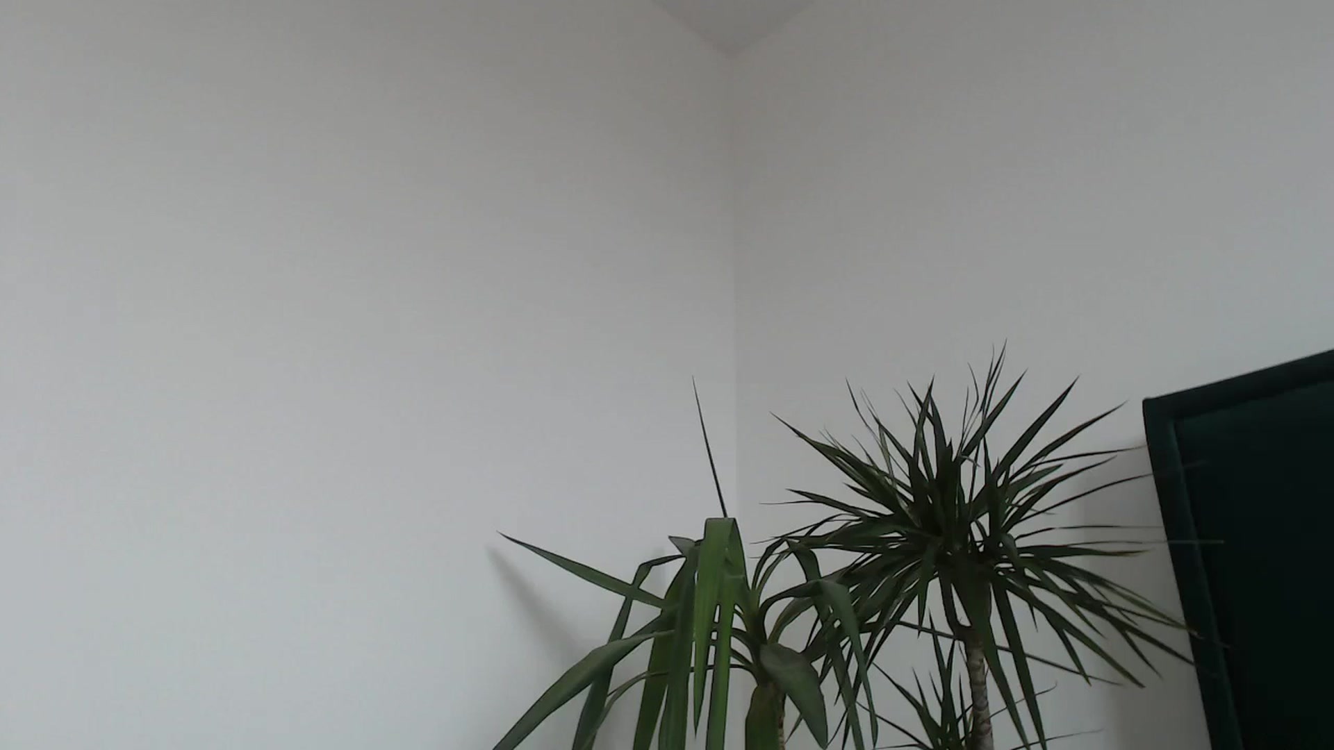 Gallery image thumbnail from Milkshake91's myfreecams stream on, 03/12/2024, 09:47 image 17 of 20