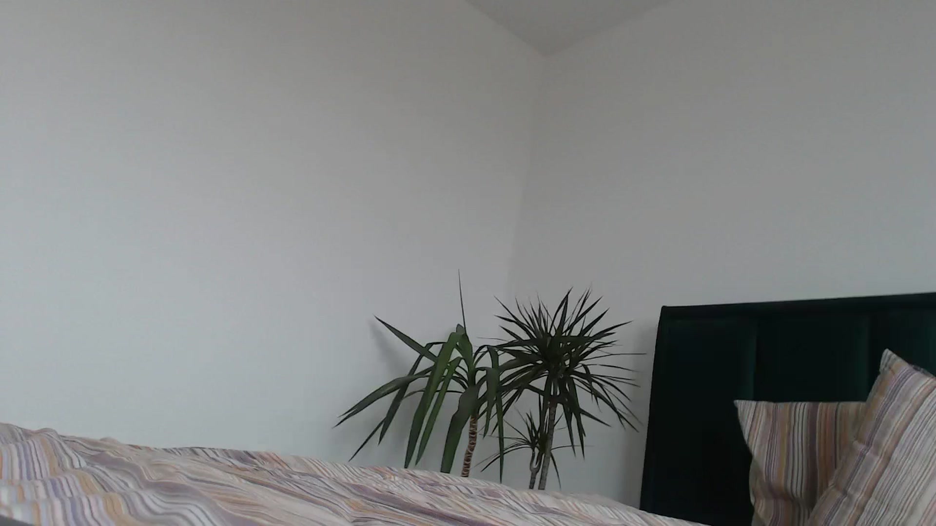 Gallery image thumbnail from Milkshake91's myfreecams stream on, 03/12/2024, 12:46 image 15 of 20