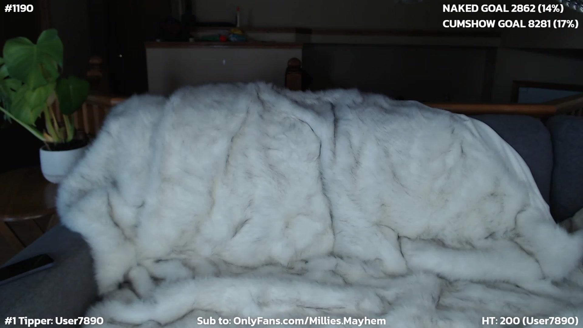 Gallery image thumbnail from MillieBrooks's myfreecams stream on, 03/19/2023, 24:33 image 18 of 20