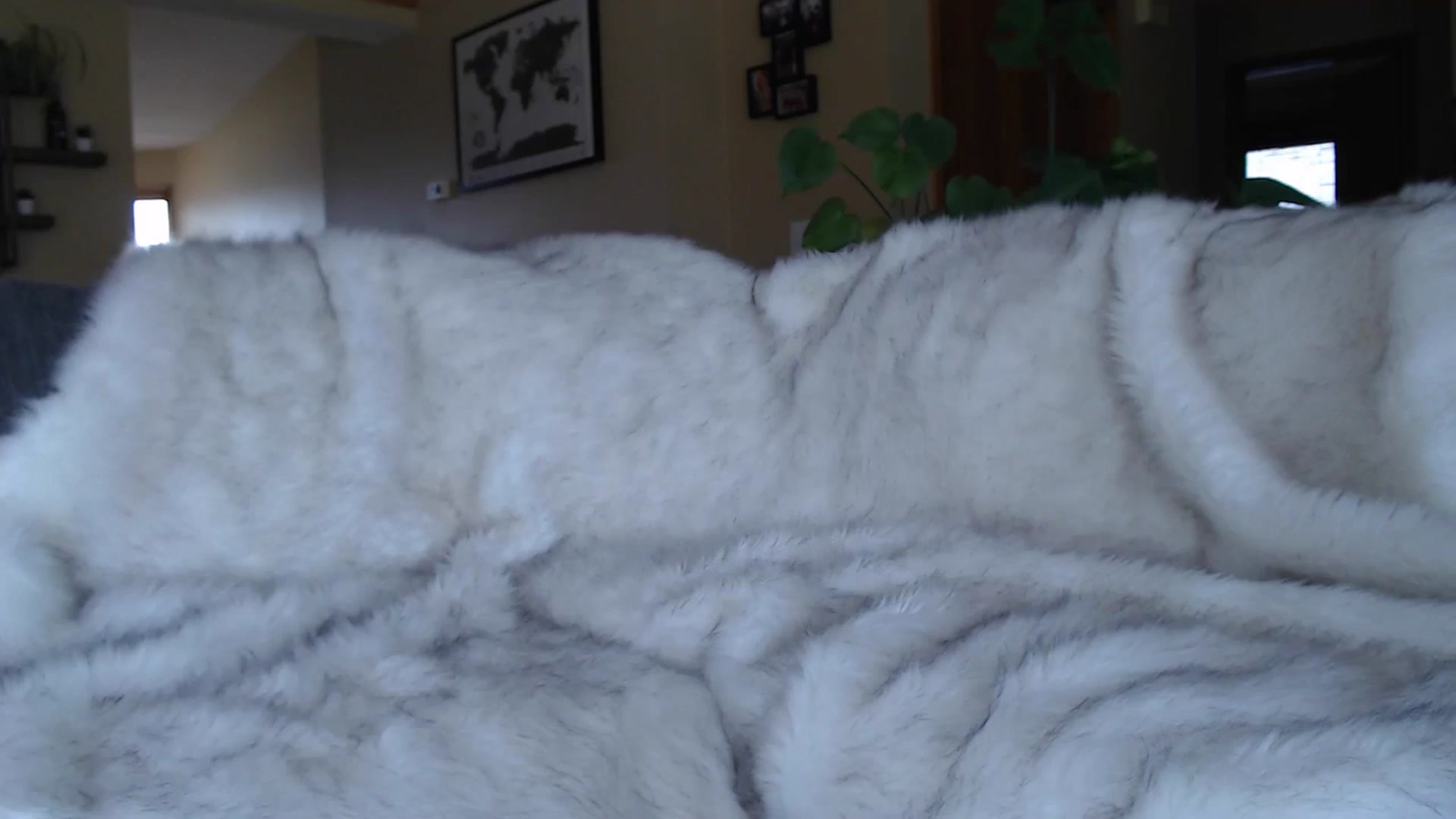 Gallery image thumbnail from MillieBrooks's myfreecams stream on, 04/26/2024, 20:03 image 10 of 20
