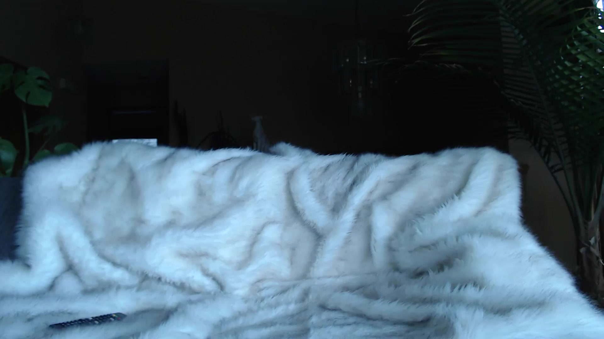 Gallery image thumbnail from MillieBrooks's myfreecams stream on, 05/18/2024, 21:12 image 4 of 20