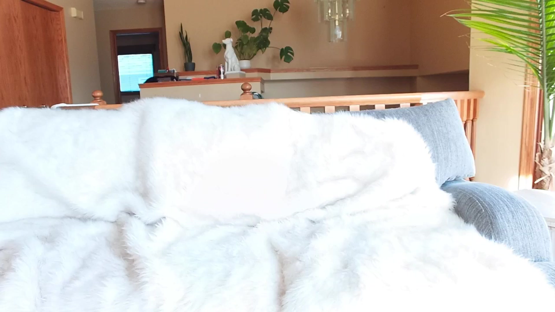 Gallery image thumbnail from MillieBrooks's myfreecams stream on, 10/31/2024, 20:13 image 8 of 20