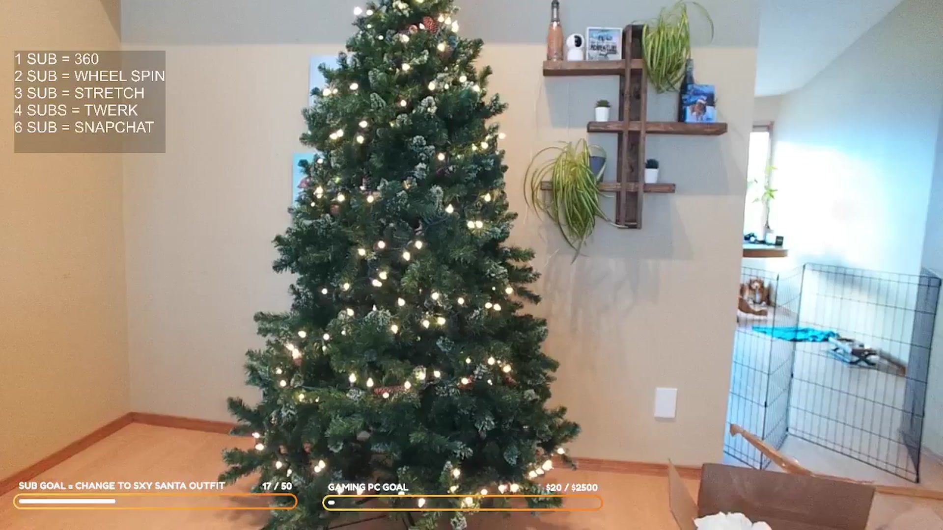 Gallery image thumbnail from MillieBrooks's myfreecams stream on, 12/11/2025, 24:23 image 4 of 20