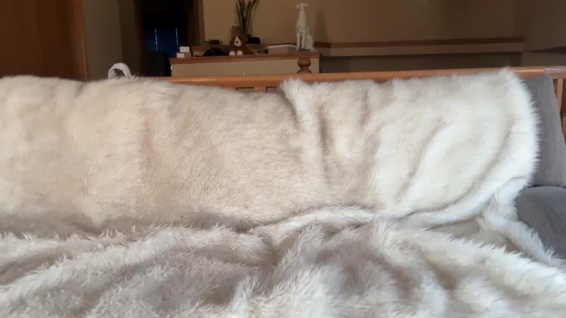 Gallery image thumbnail from MillieBrooks's myfreecams stream on, 07/17/2026, 24:33 image 19 of 20