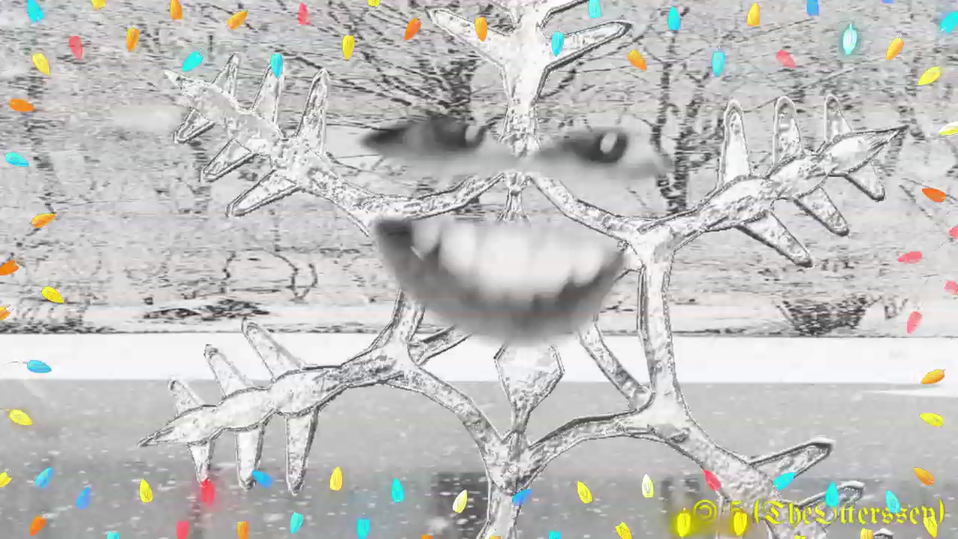 Gallery image thumbnail from MinnieMoralia's myfreecams stream on, 12/26/2022, 20:14 image 3 of 20