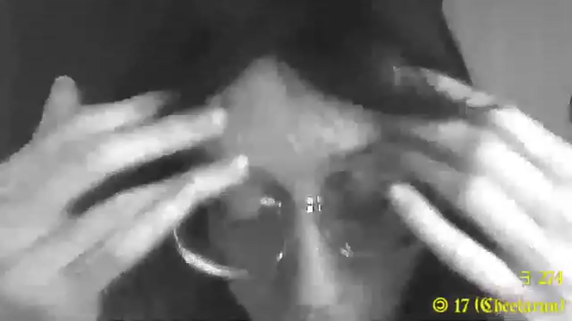 Gallery image thumbnail from MinnieMoralia's myfreecams stream on, 03/28/2023, 03:26 image 4 of 20