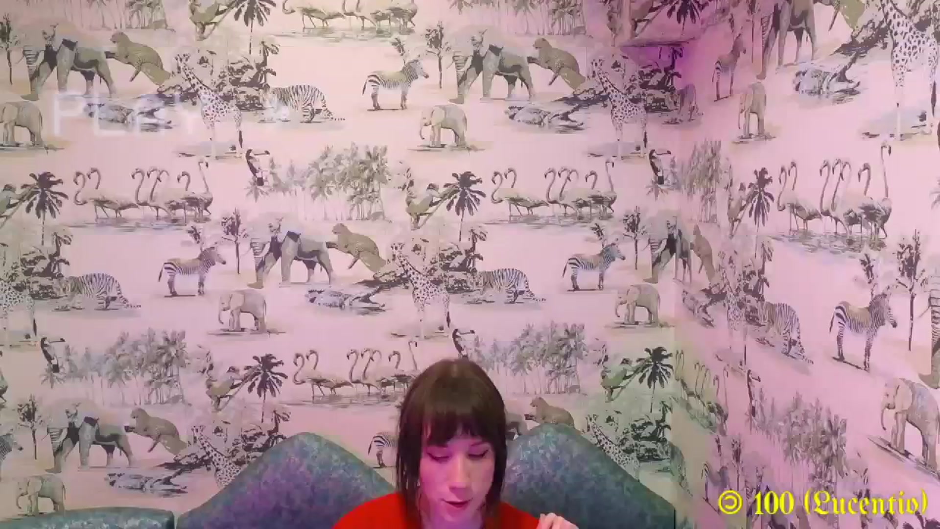 Gallery image thumbnail from MinnieMoralia's myfreecams stream on, 12/26/2023, 03:28 image 15 of 20