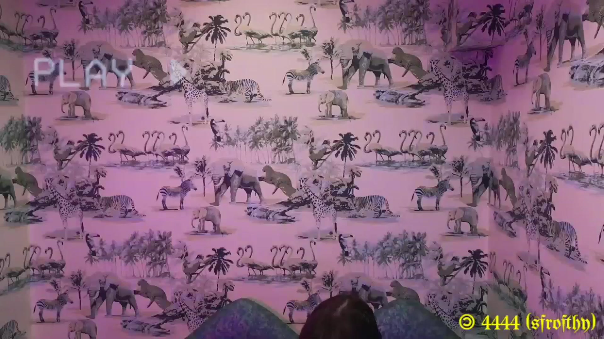 Gallery image thumbnail from MinnieMoralia's myfreecams stream on, 12/26/2023, 06:14 image 2 of 20