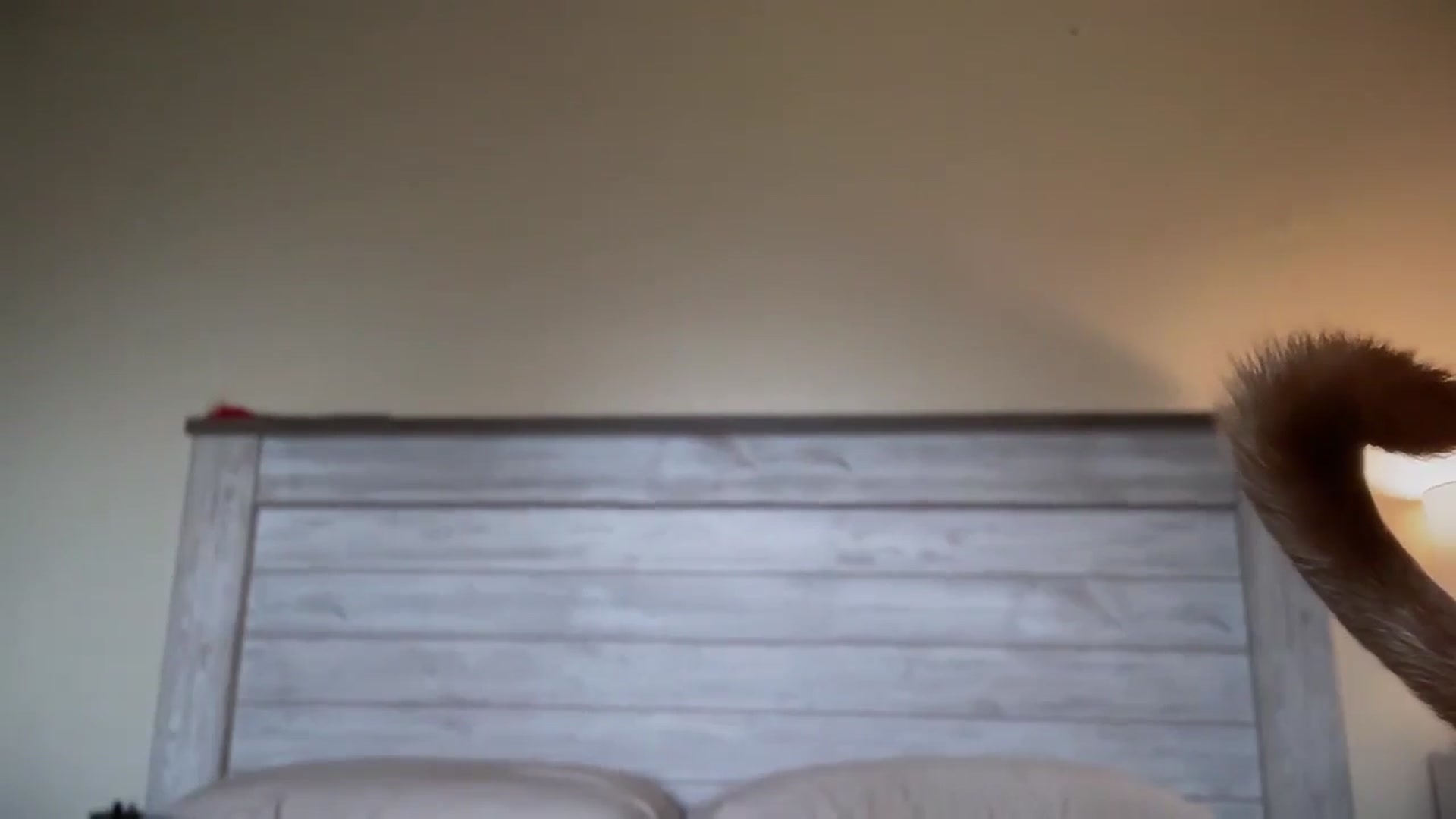 Gallery image thumbnail from MinnyMinx's myfreecams stream on, 07/16/2025, 12:53 image 4 of 20