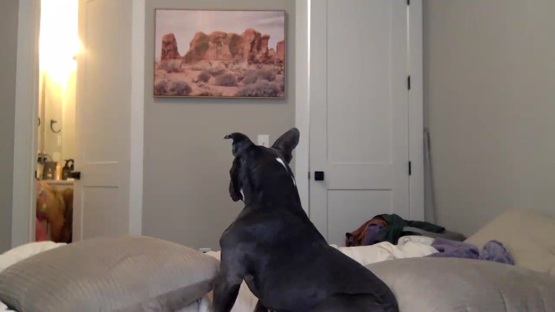 Gallery image thumbnail from Minx_nextdoor's myfreecams stream on, 03/25/2024, 21:36 image 19 of 20
