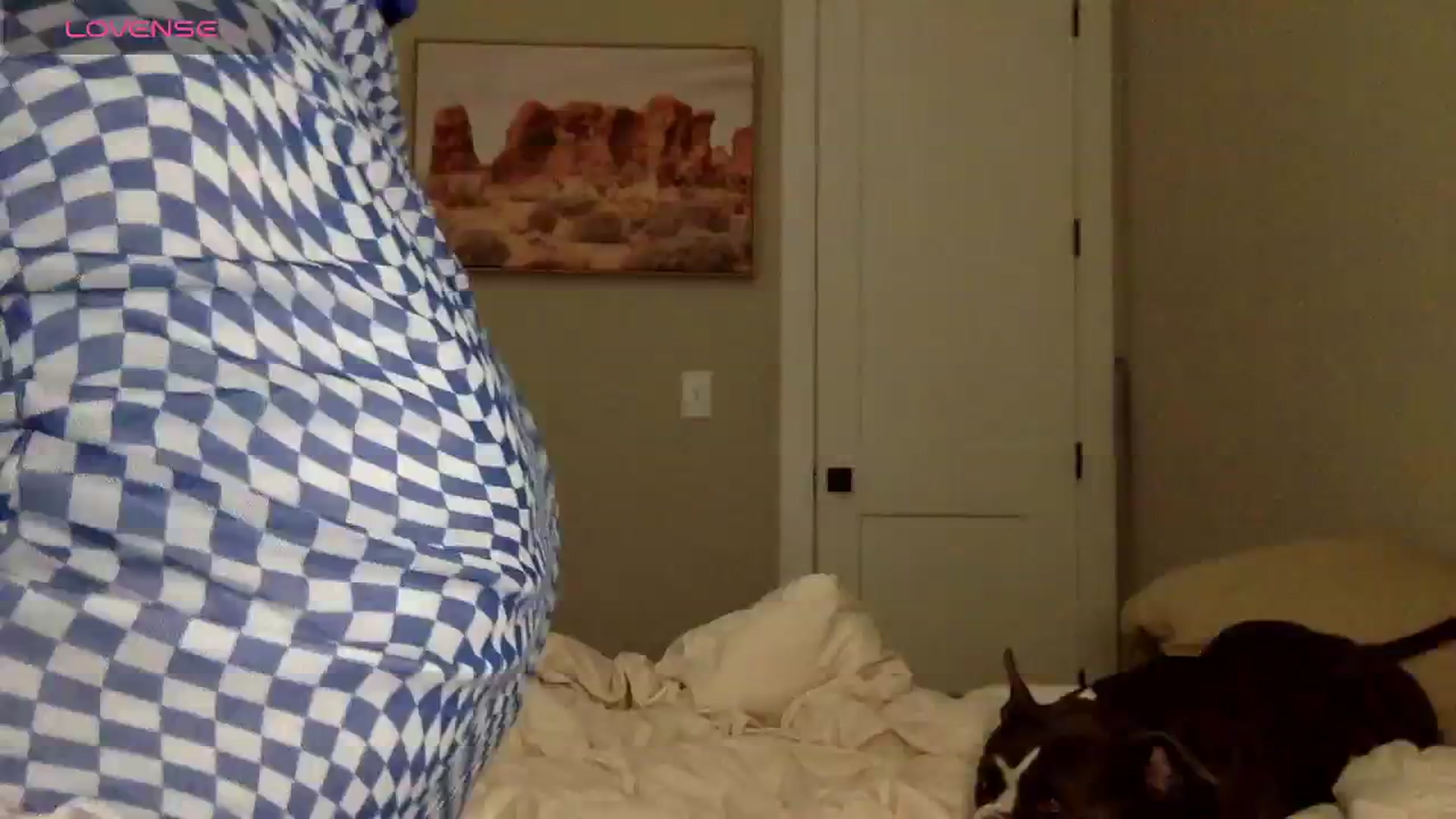 Gallery image thumbnail from Minx_nextdoor's myfreecams stream on, 05/12/2024, 18:29 image 18 of 20