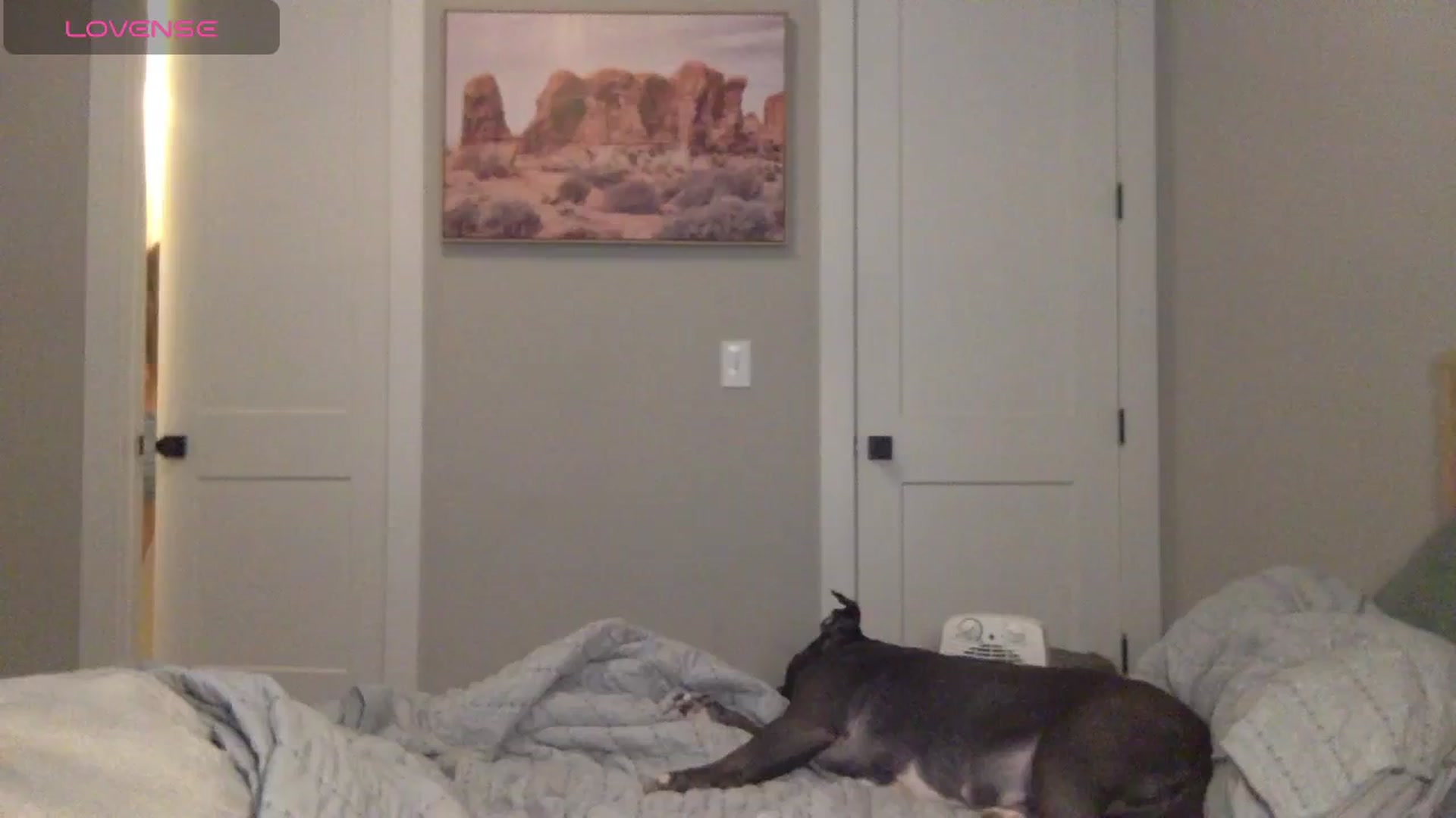 Gallery image thumbnail from Minx_nextdoor's myfreecams stream on, 10/22/2024, 14:49 image 7 of 20