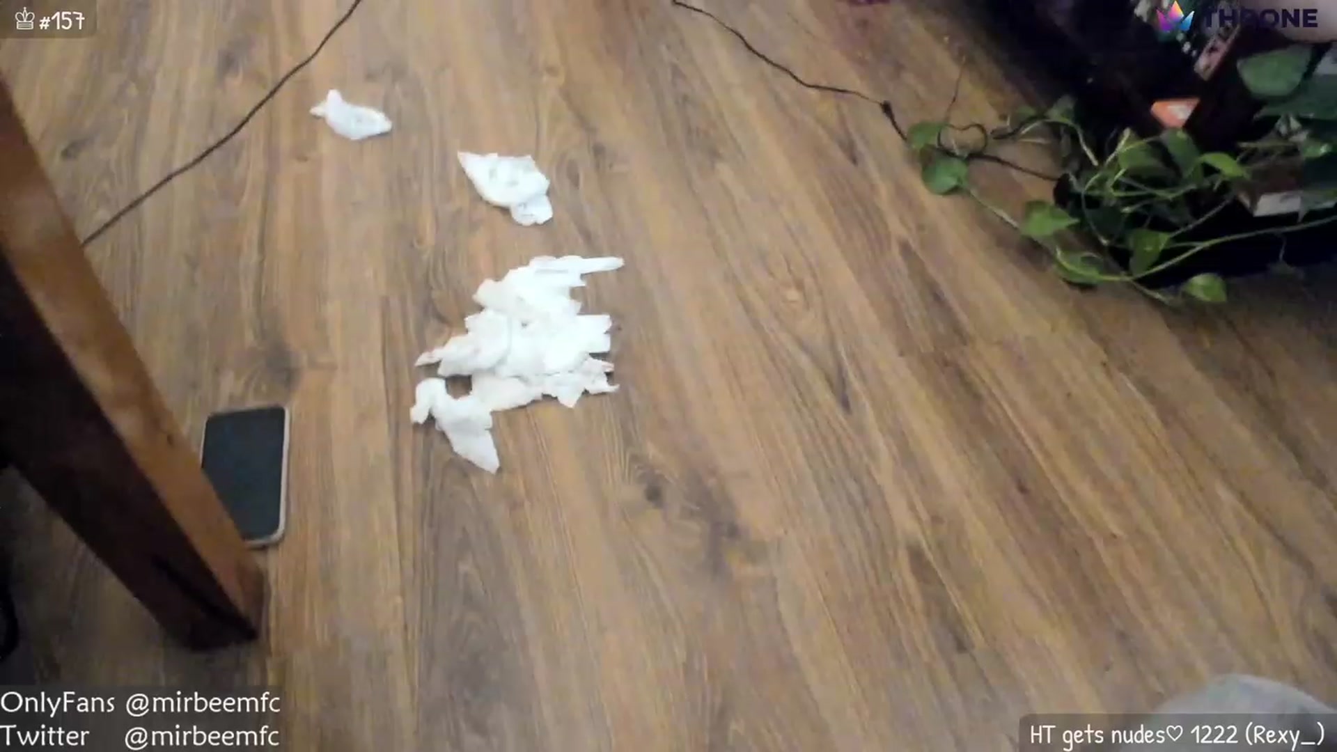 Gallery image thumbnail from MirBee's myfreecams stream on, 12/19/2022, 03:53 image 14 of 20